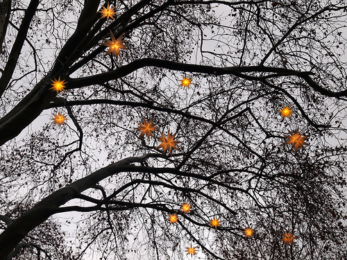 Christmas Stars (Cologne, dec. 2011) by mararie  (CC BY-SA 2.0)